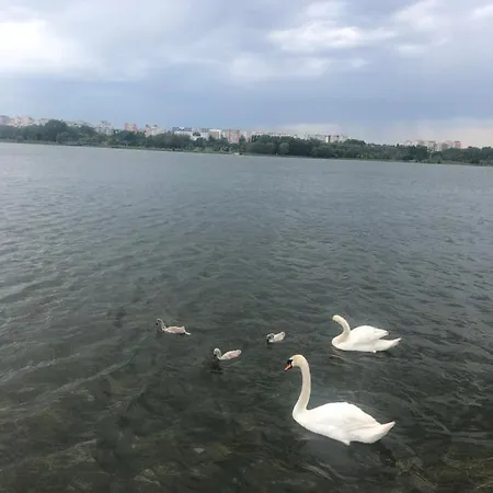 Apartment Rebe Apartaments Summerland Mamaia